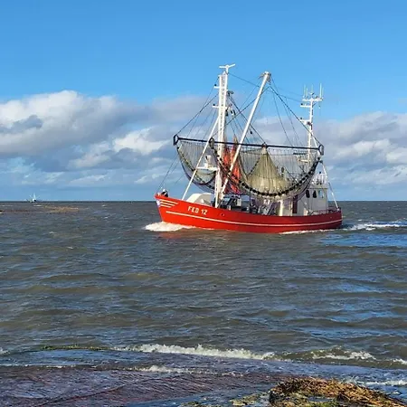 Windsbraut Butjadingen