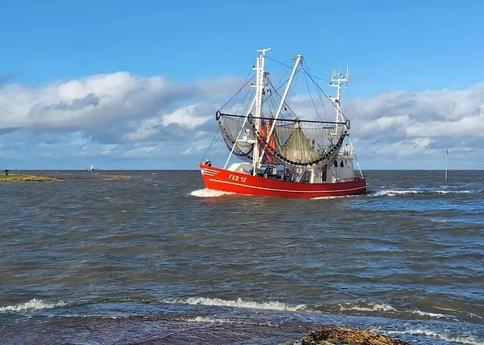 Windsbraut بوتجادينغين